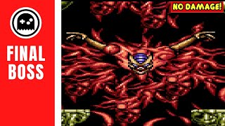 Ninja Gaiden Iii Snes - Final Boss - No Damage