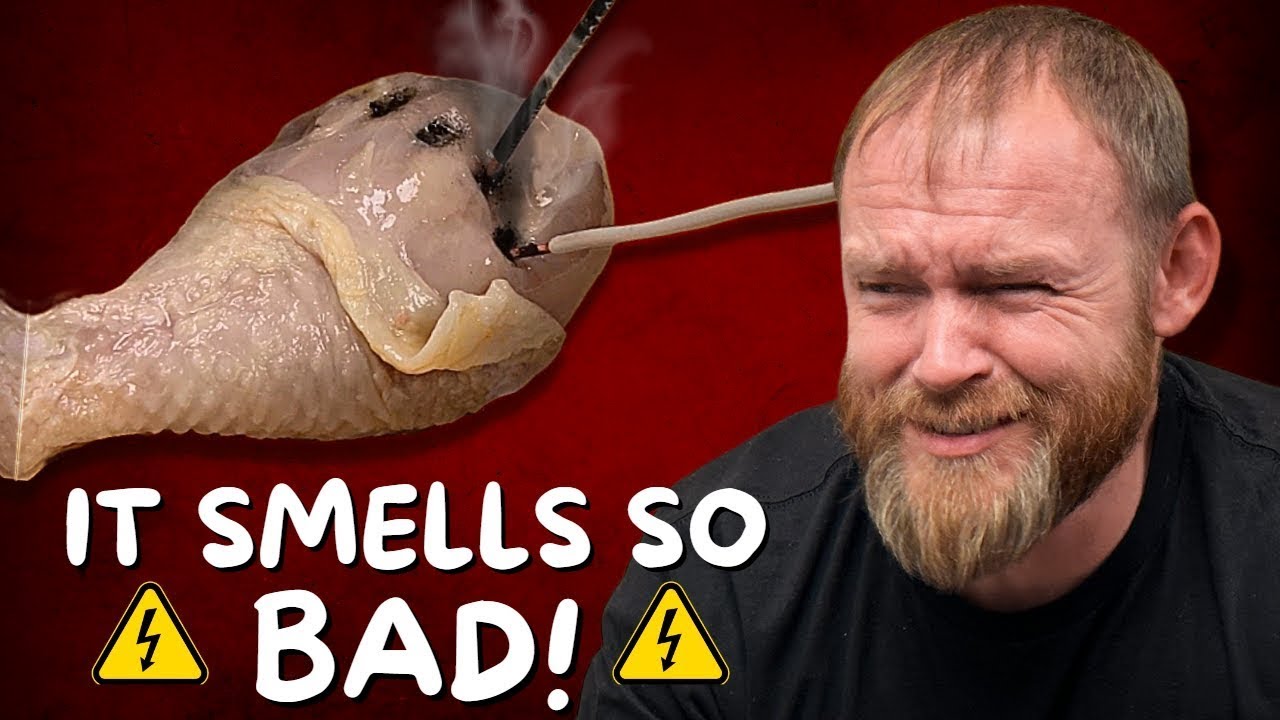 Can 120 Volts Kill You? YouTube