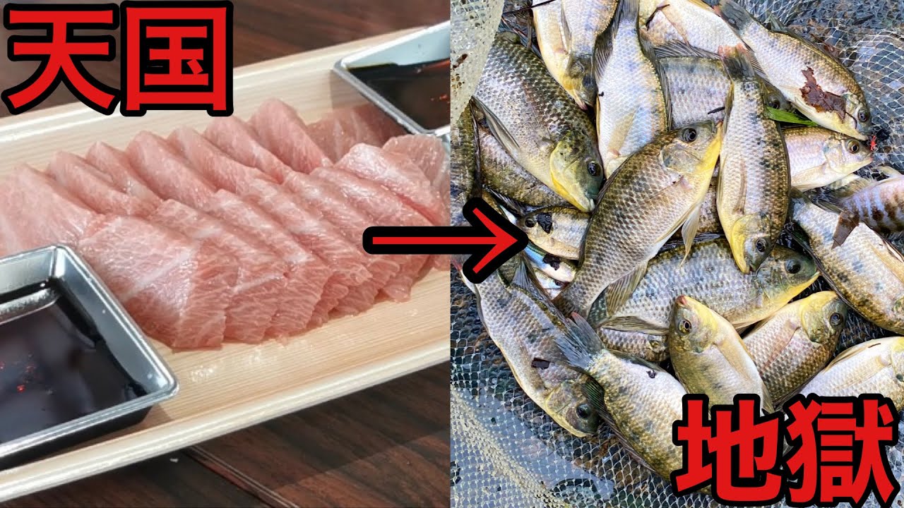 While sightseeing at a fish market, I noticed an explosion of