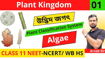 Plant Kingdom 01 in Bengali | Algae | Plant Classification System | Class 11 NEET Biology