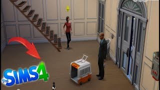 ЗАВЕЛА СОБАКУ И КОТА!!THE SIMS 4 ЗАВЕЛА СОБАКУ И КОТА!!THE SIMS 4