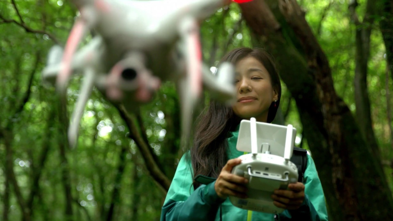 DJI Profile -「Discovering New World in Yakushima」（Kaori Uchiyama）