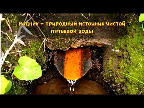 Родник – природный источник чистой питьевой воды