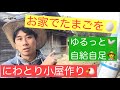 ニワトリ小屋作り！３つのポイント！！たまごを自給自足
