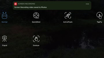DJI Spark Tap Fly and Active Track brief demo