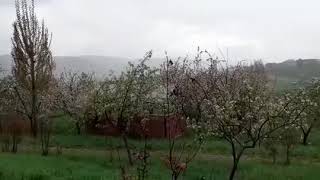Saratovka.Yaz yağışı.🤗