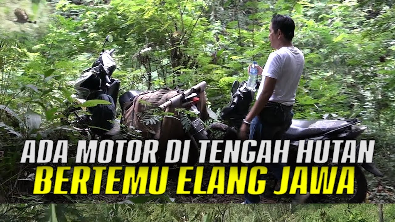 NAIK KE PUNCAK SANGGA BUANA | BERTEMU ELANG JAWA DAN ADA 2 MOTOR DI TENGAH HUTAN