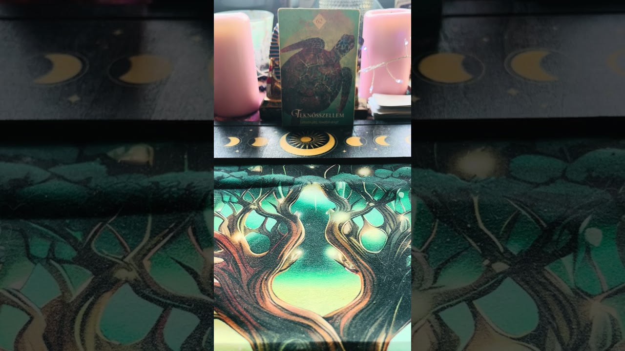 Teknős szellem: lassan jàrj, tovább érsz….