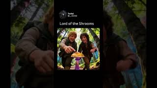 an unexpected trip #ai #aivideo #funny #lotr