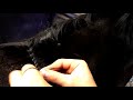 How To Plait Your Horse's Mane - With Horsemart & Hesteyri Horses