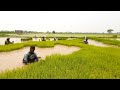 Daily Rural Village Life in Punjab Pakistan||Most Traditional Life