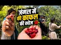 आज तो हमने खूब काफल खाए 😋..| Uttarakhand | Kafal | @RudhiyalJi