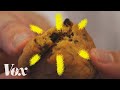 Understanding Oven Temperatures in Baking