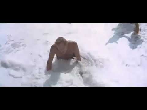 Planet of the Apes (1968) Damn you all to hell !