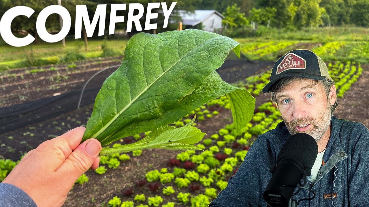 Is Comfrey Worth the Hype + Can You Call Yourself a Farmer IF…