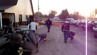 Ewe Pullet Harvest Day October 22nd 2011 Video 14