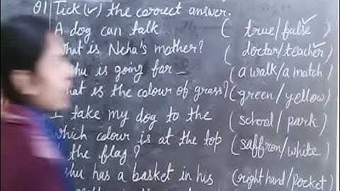 Bhartiyam Public School/Class-1/English/Revision Assignment-11