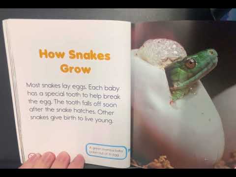 It’s A Good Thing There Are Snakes by Lisa M. Herrington