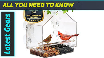 Nature Anywhere Bird Feeder: A Window to the Wild