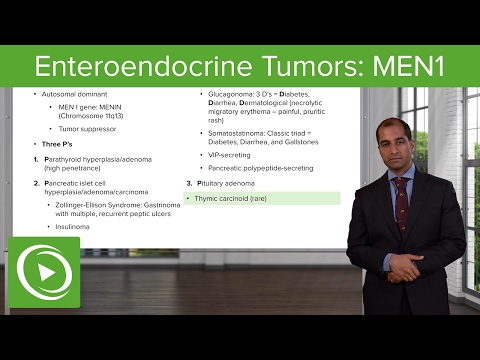 Enteroendocrine Tumors: MEN1 & Insulinoma (β-cells)– Endocrine Pathology | Lecturio