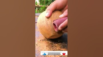 coconut bowl making at home ( 3 easy steps)