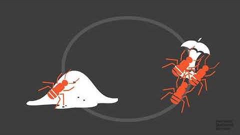 Brainswarming Because Brainstorming Doesn