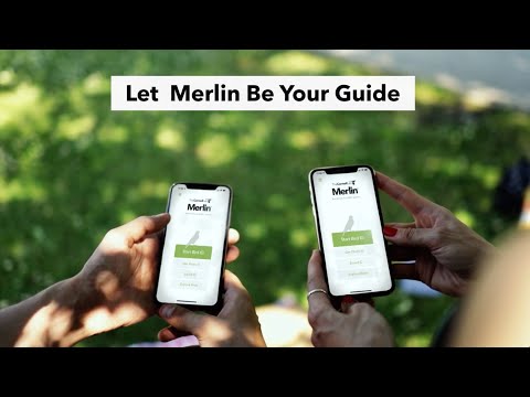 Merlin Bird ID oleh Cornell Lab