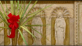 Palm Sunday Mass - March 20, 2016