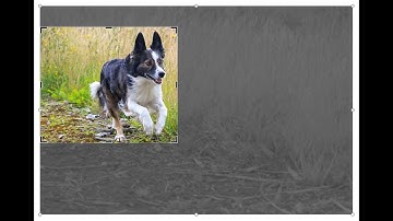 How to crop video in video studio 2023