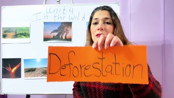 Connect Plus  primary 3 unit 4 part 5 | English with Dalia