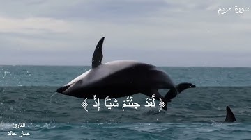 تلاوة هادئة تريح القلب❤️ القران شفاء الروح ❤️ سورة مريم 💕 للقارئ عمار خالد