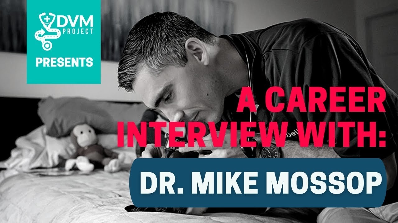 Dvm Project The DVM Project Career Interview with Dr. Mike Mossop - YouTube