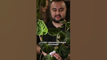 Топ редких растений в Казани на этой неделе!