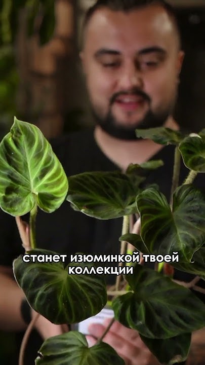 Топ редких растений в Казани на этой неделе! - YouTube