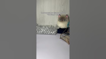 only cats! customer order #fidgets #asmr #haul #smallbusiness #relaxing #unboxing #cats