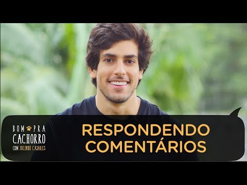 RESPONDENDO COMENTÁRIOS | BOM PRA CACHORRO
