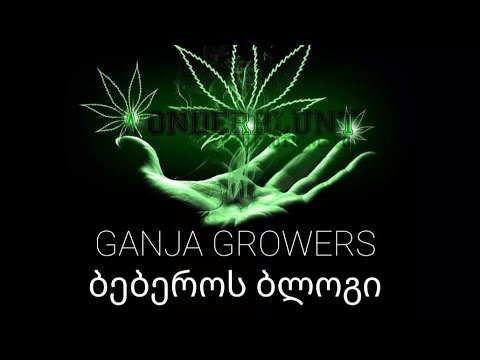 რა გვჭირდება ბოქსის ასაწყობად