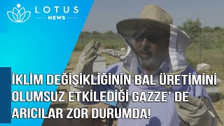 İkli̇m Deği̇şi̇kli̇ği̇ni̇n Bal Üreti̇mi̇ni̇ Olumsuz Etki̇ledi̇ği̇ Gazze De Aricilar Zor Durumda