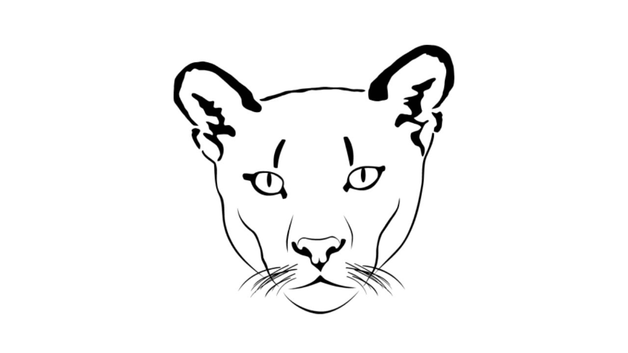 how to draw a puma face