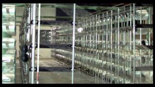 Obeikan Documentary Film English