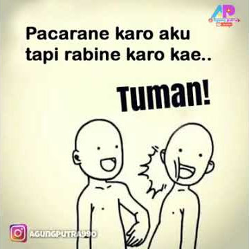 Status wa terbaru Tuman, viral video tuman. Lucu.
