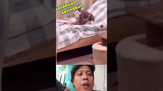 kumpulan video lucu bikin ketawa ngakak- ketahuan selingkuh