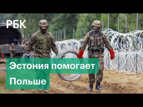 Эстонские военные устанавливают защитное ограждение на белорусско-польской границе