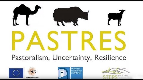 Echi Gabbert explains why uncertainty is a useful lens for looking at pastoralism