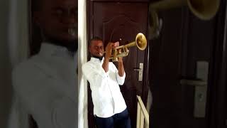 Trumpetgains Challenge 3
