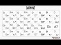 Daphné (Django Reinhardt) 210bpm - Playback jazz manouche - Gypsy jazz backing track / play along