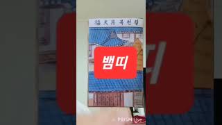 뱀띠 오늘의운세 2024년6월25일 화요일 운세 총운