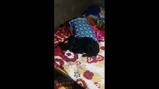 Starnd To Bad Sleep