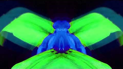 Electric Hawk Presents: DMVU (Downtempo) ft. VJ Kobra visuals