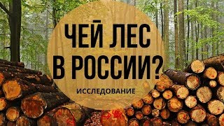 ЗАЧЕМ НУЖНА ЛЕСНАЯ ГОСКОРПОРАЦИЯ